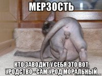 мерзость кто заводит у себя это вот уродство - сам урод моральный