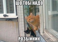 шо тобi надо розбiйник