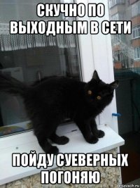 скучно по выходным в сети пойду суеверных погоняю