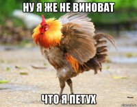 ну я же не виноват что я петух