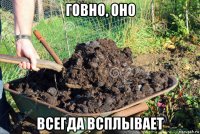 говно, оно всегда всплывает