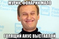 мурик, фонарик мало горящий анус выставляй