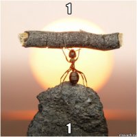 1 1