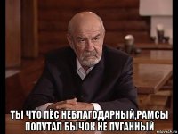  ты что пёс неблагодарный,рамсы попутал бычок не пуганный