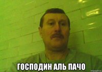  господин аль пачо