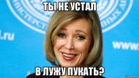 ты не устал в лужу пукать?