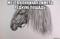 мечта конника 12 иметь редкую лошадь 