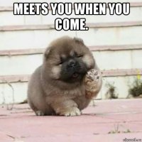 meets you when you come. 
