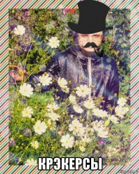  крэкерсы