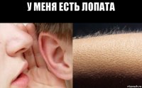 у меня есть лопата 