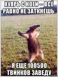 хуярь с ноги -- всё равно не заткнешь. я еще 100500 твинков заведу