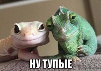  ну тупые