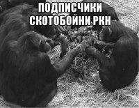 подписчики скотобойни ркн 