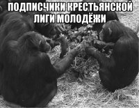 подписчики крестьянской лиги молодёжи 
