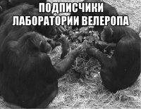 подписчики лаборатории велеропа 