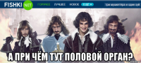  а при чём тут половой орган?