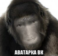  аватарка вк