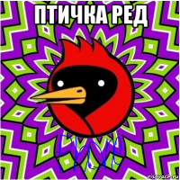 птичка ред 