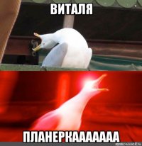 виталя планеркааааааа