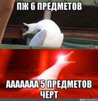 пж 6 предметов ааааааа 5 предметов черт