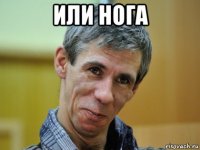 или нога 