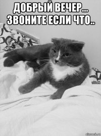 добрый вечер... звоните если что.. 