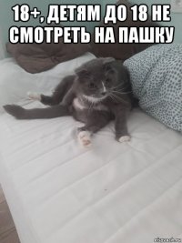 18+, детям до 18 не смотреть на пашку 