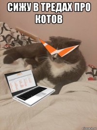 сижу в тредах про котов 