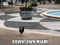 downtown miami