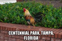  centennial park, tampa, florida