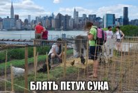  блять петух сука