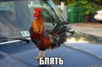  блять