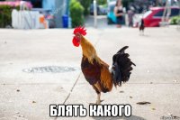  блять какого