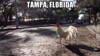 tampa, florida 