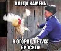 когда камень в огород петуха бросили