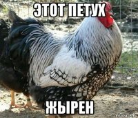 этот петух жырен