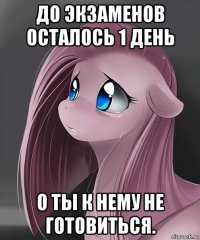 до экзаменов осталось 1 день о ты к нему не готовиться.