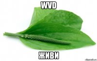 wvd живи