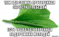 там где стежка проторенная зарастает лебедой есть трава заговоренная подорожник молодой