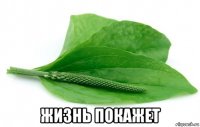  жизнь покажет