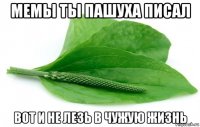 мемы ты пашуха писал вот и не лезь в чужую жизнь