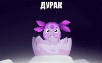дурак 