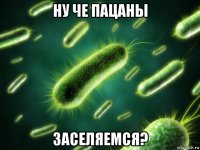 ну че пацаны заселяемся?