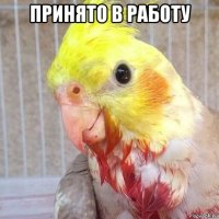 принято в работу 