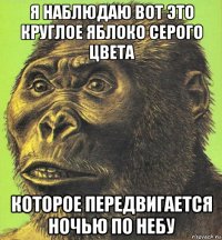 я наблюдаю вот это круглое яблоко серого цвета которое передвигается ночью по небу