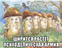  ширится растёт психоделическая армия