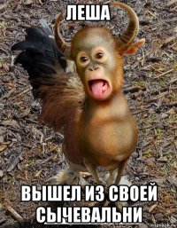 леша вышел из своей сычевальни
