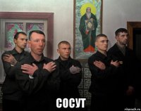  сосут
