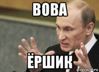 вова ёршик