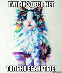 тупых здесь нет только ебанутые!